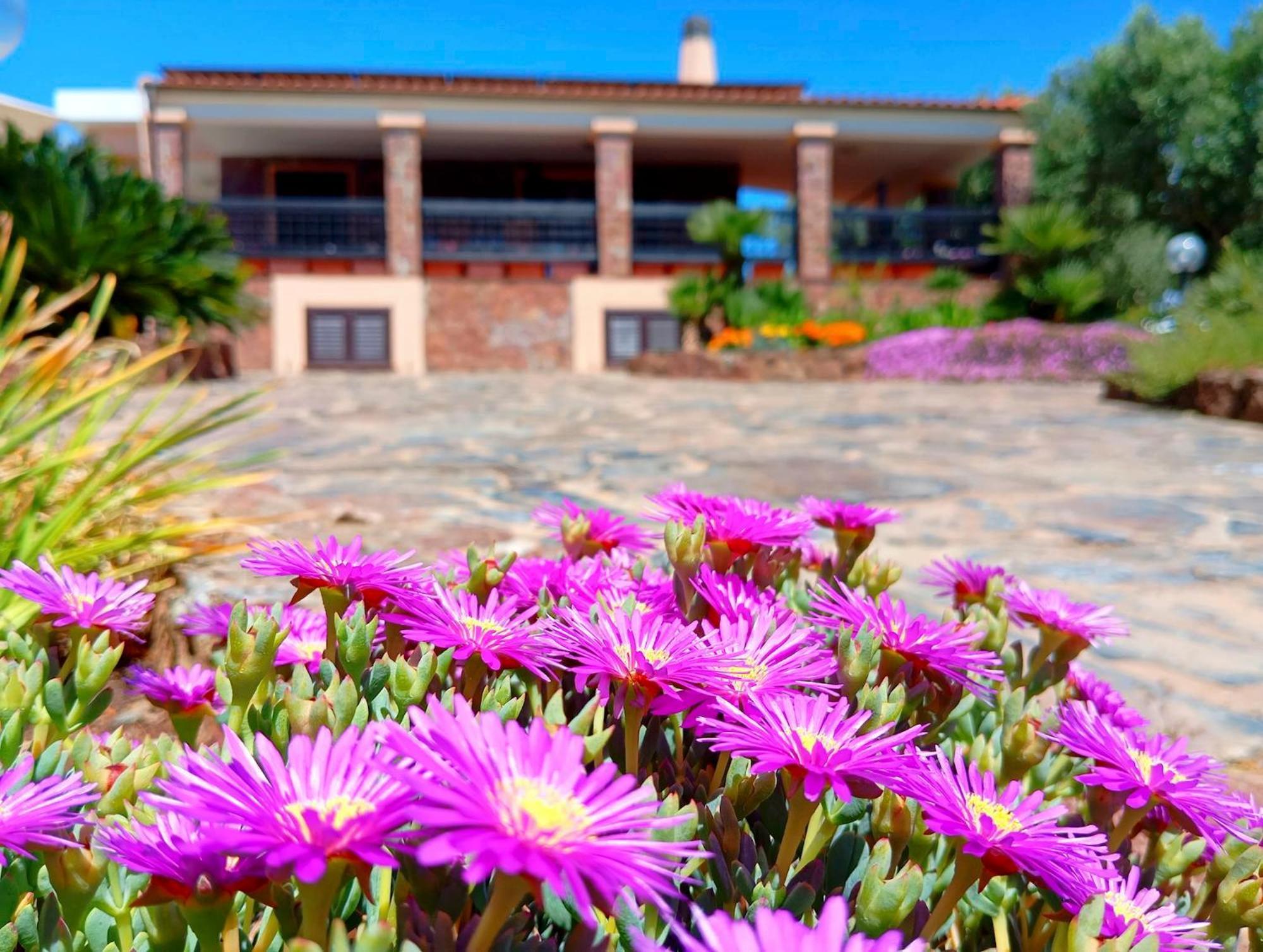 Alghero Villa Barranch With Sea View Swimming Pool For 6 People Exterior foto